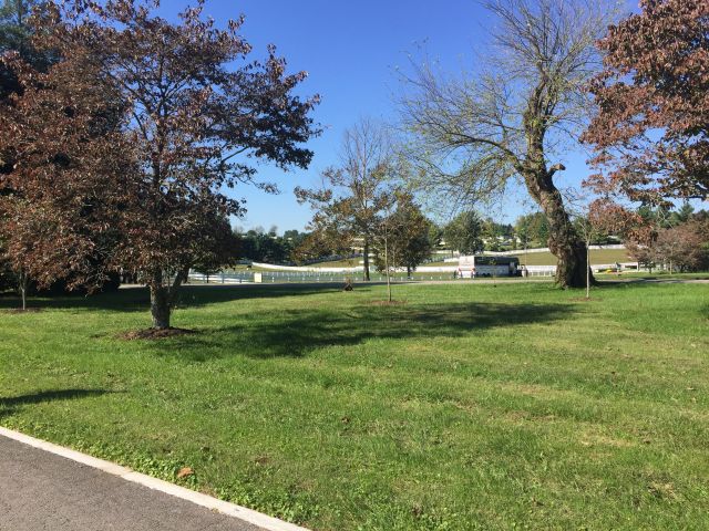 KYKeeneland